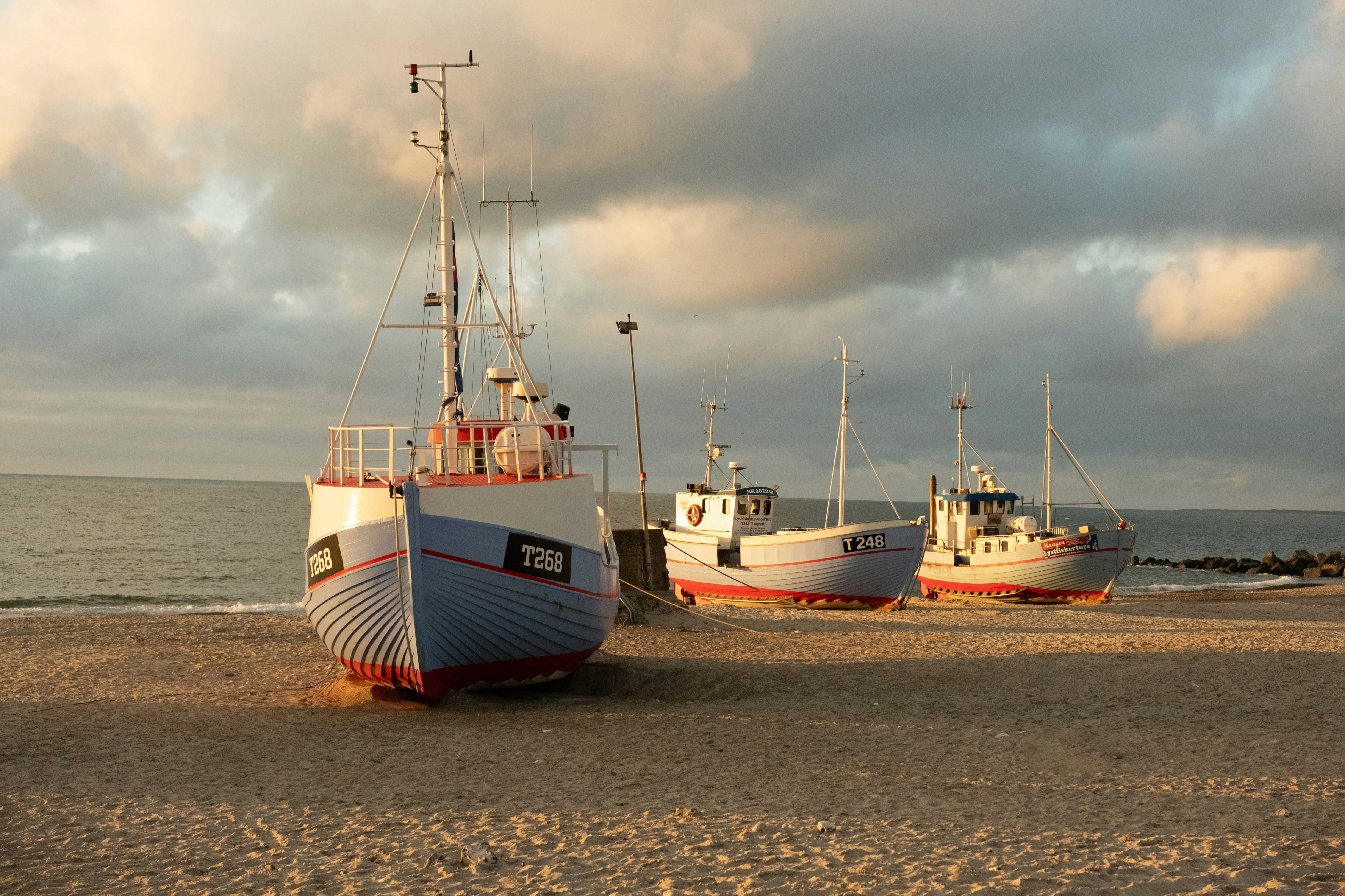 Dünen an der Lübecker Bucht